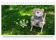 Thumbnail-9