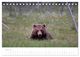 Thumbnail-9
