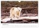 Thumbnail-14