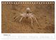 Thumbnail-11