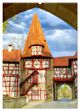 Thumbnail-14