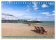Thumbnail-12