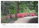 Thumbnail-10