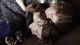 Thumbnail-9