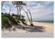 Thumbnail-8
