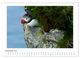 Thumbnail-13