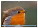Thumbnail-9