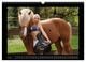Thumbnail-9