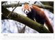 Thumbnail-9