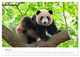 Thumbnail-9