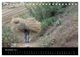Thumbnail-13