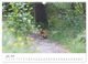Thumbnail-12