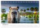 Thumbnail-13