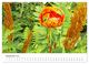 Thumbnail-11