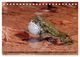 Thumbnail-9
