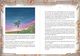 Thumbnail-11