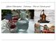 Thumbnail-12