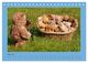 Thumbnail-11