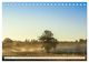 Thumbnail-13