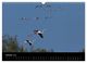 Thumbnail-12