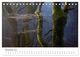 Thumbnail-13