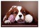 Thumbnail-11
