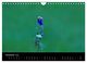 Thumbnail-13
