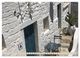 Thumbnail-11