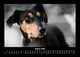Thumbnail-12
