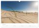 Thumbnail-12