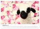 Thumbnail-14