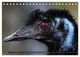 Thumbnail-12