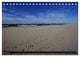 Thumbnail-13