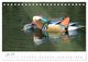 Thumbnail-11