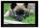 Thumbnail-14
