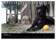 Thumbnail-12