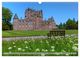 Thumbnail-9