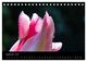 Thumbnail-11