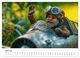Thumbnail-9