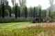 Thumbnail-9