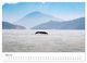 Thumbnail-11