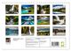 Thumbnail-14