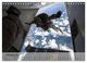 Thumbnail-14