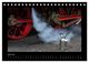 Thumbnail-8