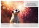 Thumbnail-14