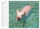 Thumbnail-11