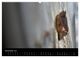 Thumbnail-12
