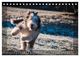 Thumbnail-13