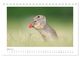 Thumbnail-9