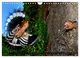 Thumbnail-8